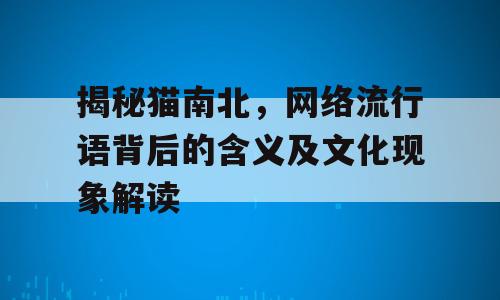 揭秘猫南北，网络流行语背后的含义及文化现象解读