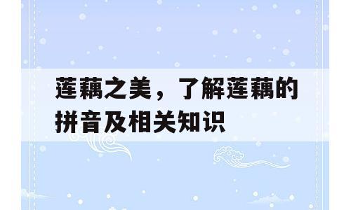 莲藕之美，了解莲藕的拼音及相关知识