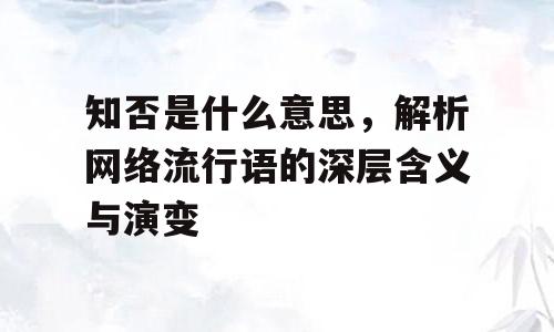 知否是什么意思，解析网络流行语的深层含义与演变