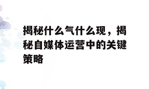 揭秘什么气什么现，揭秘自媒体运营中的关键策略