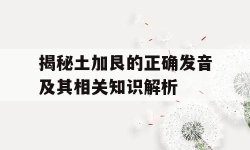 揭秘土加艮的正确发音及其相关知识解析