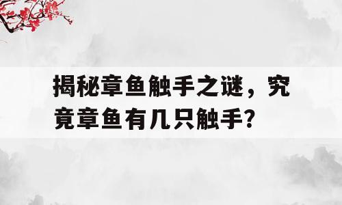 揭秘章鱼触手之谜，究竟章鱼有几只触手？