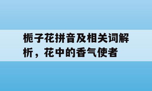 栀子花拼音及相关词解析，花中的香气使者