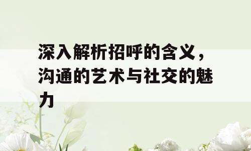 深入解析招呼的含义，沟通的艺术与社交的魅力