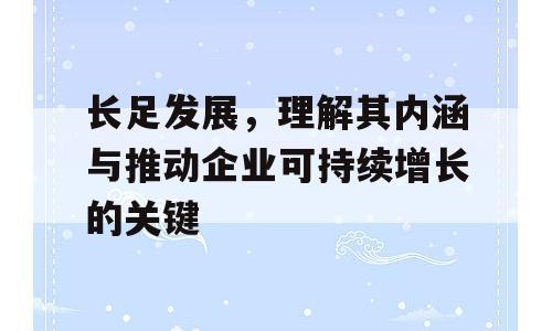 长足发展，理解其内涵与推动企业可持续增长的关键