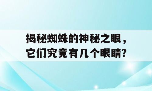 揭秘蜘蛛的神秘之眼，它们究竟有几个眼睛？