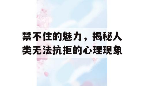 禁不住的魅力，揭秘人类无法抗拒的心理现象