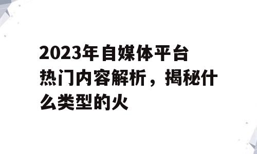 2023年自媒体平台热门内容解析，揭秘什么类型的火