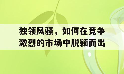 独领风骚，如何在竞争激烈的市场中脱颖而出
