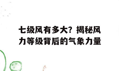 七级风有多大？揭秘风力等级背后的气象力量