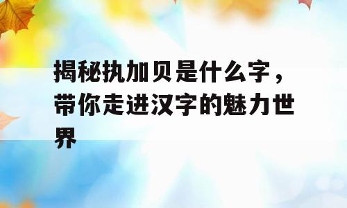 揭秘执加贝是什么字，带你走进汉字的魅力世界