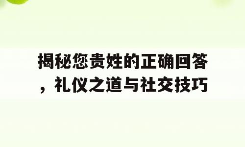 揭秘您贵姓的正确回答，礼仪之道与社交技巧