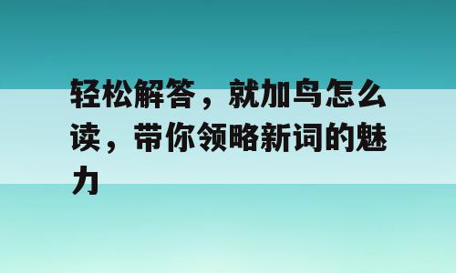 轻松解答，就加鸟怎么读，带你领略新词的魅力
