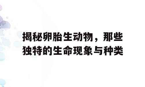 揭秘卵胎生动物，那些独特的生命现象与种类