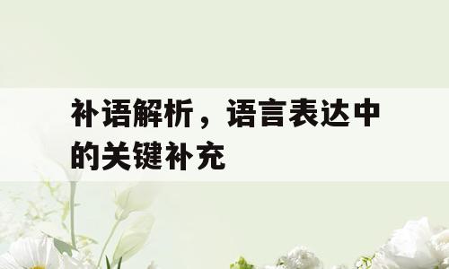 补语解析，语言表达中的关键补充
