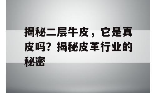 揭秘二层牛皮，它是真皮吗？揭秘皮革行业的秘密