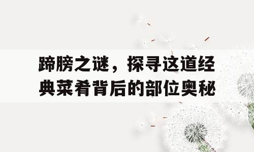 蹄膀之谜，探寻这道经典菜肴背后的部位奥秘