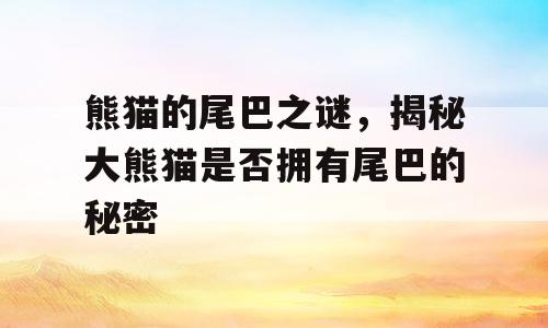 熊猫的尾巴之谜，揭秘大熊猫是否拥有尾巴的秘密