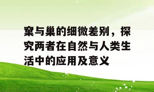 窠与巢的细微差别，探究两者在自然与人类生活中的应用及意义