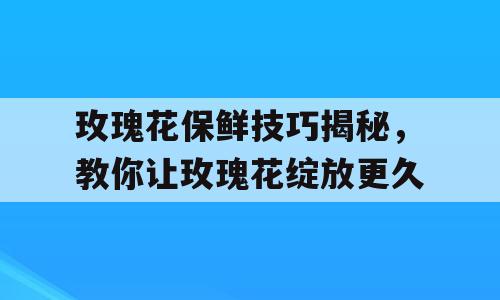 玫瑰花保鲜技巧揭秘，教你让玫瑰花绽放更久