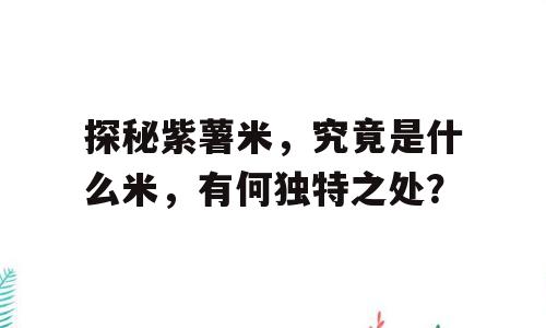 探秘紫薯米，究竟是什么米，有何独特之处？