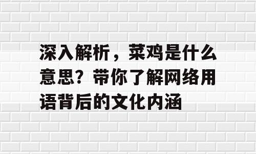 深入解析，菜鸡是什么意思？带你了解网络用语背后的文化内涵