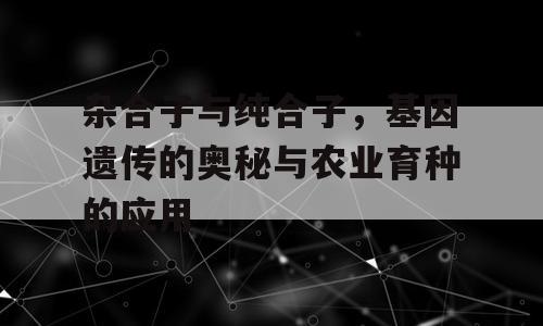 杂合子与纯合子，基因遗传的奥秘与农业育种的应用