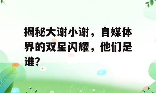 揭秘大谢小谢，自媒体界的双星闪耀，他们是谁？