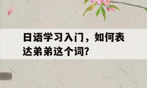 日语学习入门，如何表达弟弟这个词？