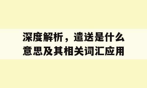 深度解析，遣送是什么意思及其相关词汇应用