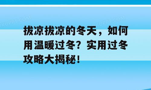 拔凉拔凉的冬天，如何用温暖过冬？实用过冬攻略大揭秘！