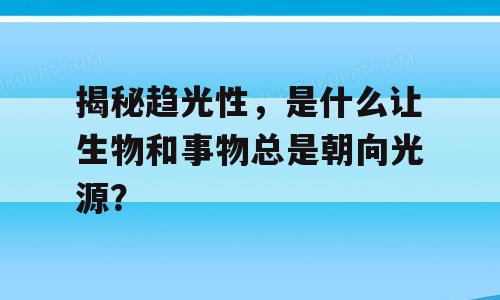 揭秘趋光性，是什么让生物和事物总是朝向光源？