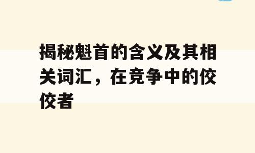 揭秘魁首的含义及其相关词汇，在竞争中的佼佼者