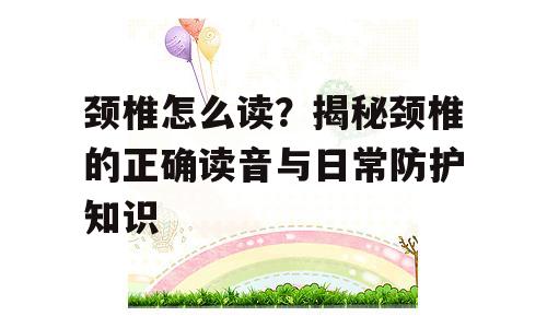 颈椎怎么读？揭秘颈椎的正确读音与日常防护知识