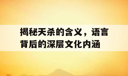 揭秘天杀的含义，语言背后的深层文化内涵