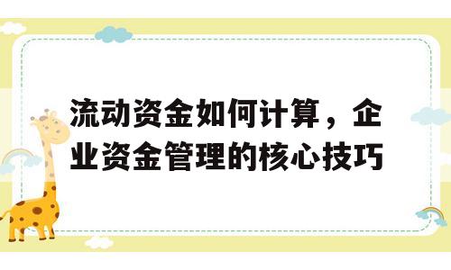 流动资金如何计算，企业资金管理的核心技巧