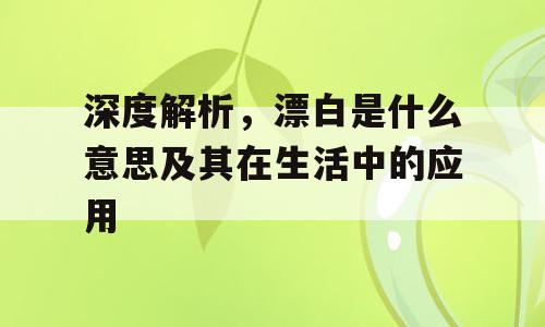 深度解析，漂白是什么意思及其在生活中的应用