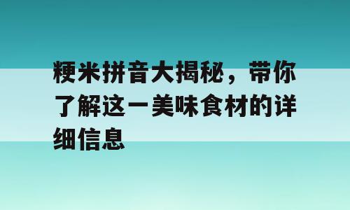 粳米拼音大揭秘，带你了解这一美味食材的详细信息