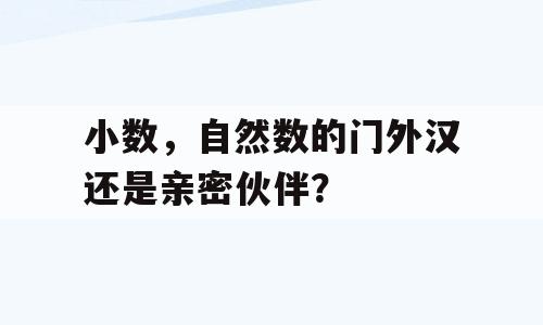 小数，自然数的门外汉还是亲密伙伴？