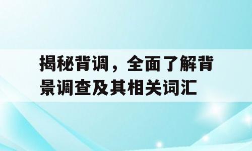 揭秘背调，全面了解背景调查及其相关词汇