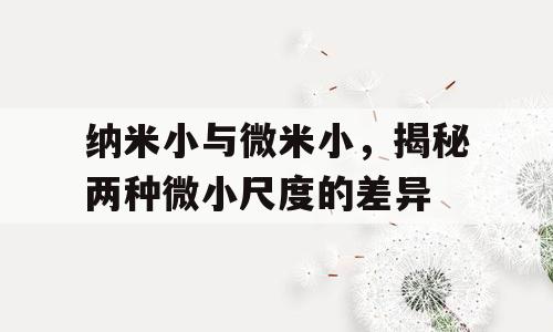 纳米小与微米小，揭秘两种微小尺度的差异