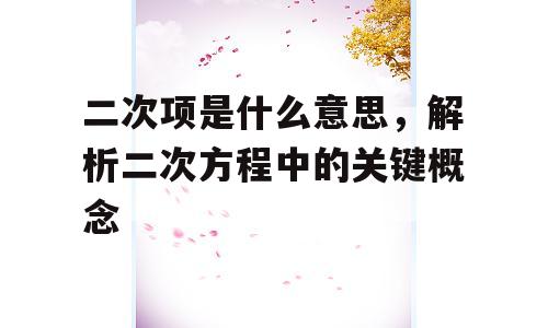 二次项是什么意思，解析二次方程中的关键概念