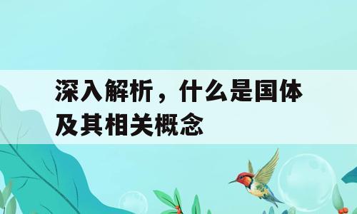 深入解析，什么是国体及其相关概念