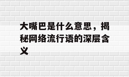 大嘴巴是什么意思，揭秘网络流行语的深层含义