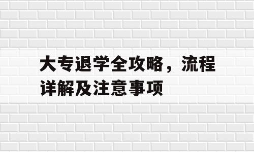 大专退学全攻略，流程详解及注意事项