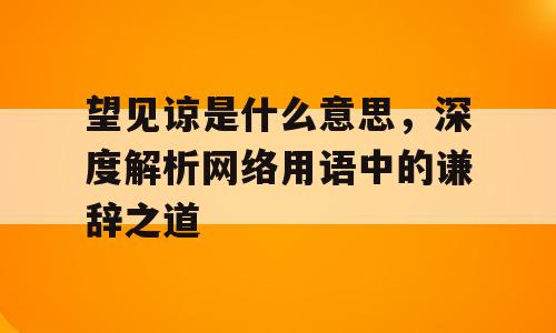 望见谅是什么意思，深度解析网络用语中的谦辞之道