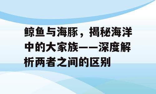 鲸鱼与海豚，揭秘海洋中的大家族——深度解析两者之间的区别
