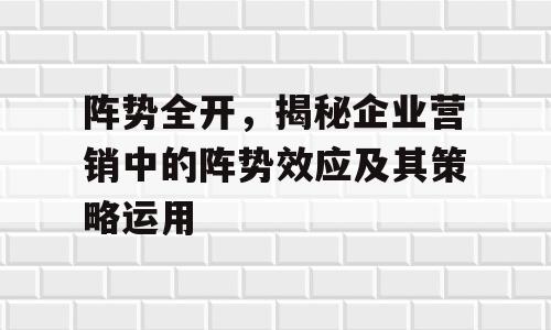 阵势全开，揭秘企业营销中的阵势效应及其策略运用
