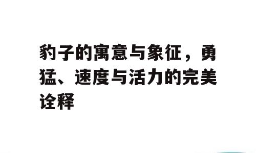 豹子的寓意与象征，勇猛、速度与活力的完美诠释