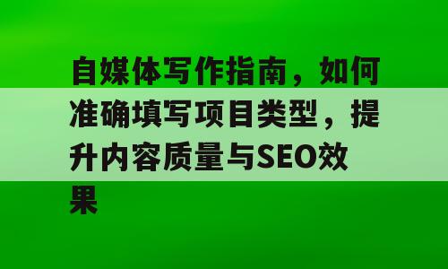 自媒体写作指南，如何准确填写项目类型，提升内容质量与SEO效果